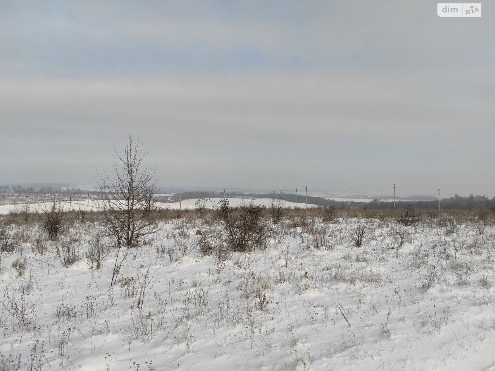 Земельный участок сельскохозяйственного назначения в Лесовых Гриновцах, площадь 10 соток фото 1