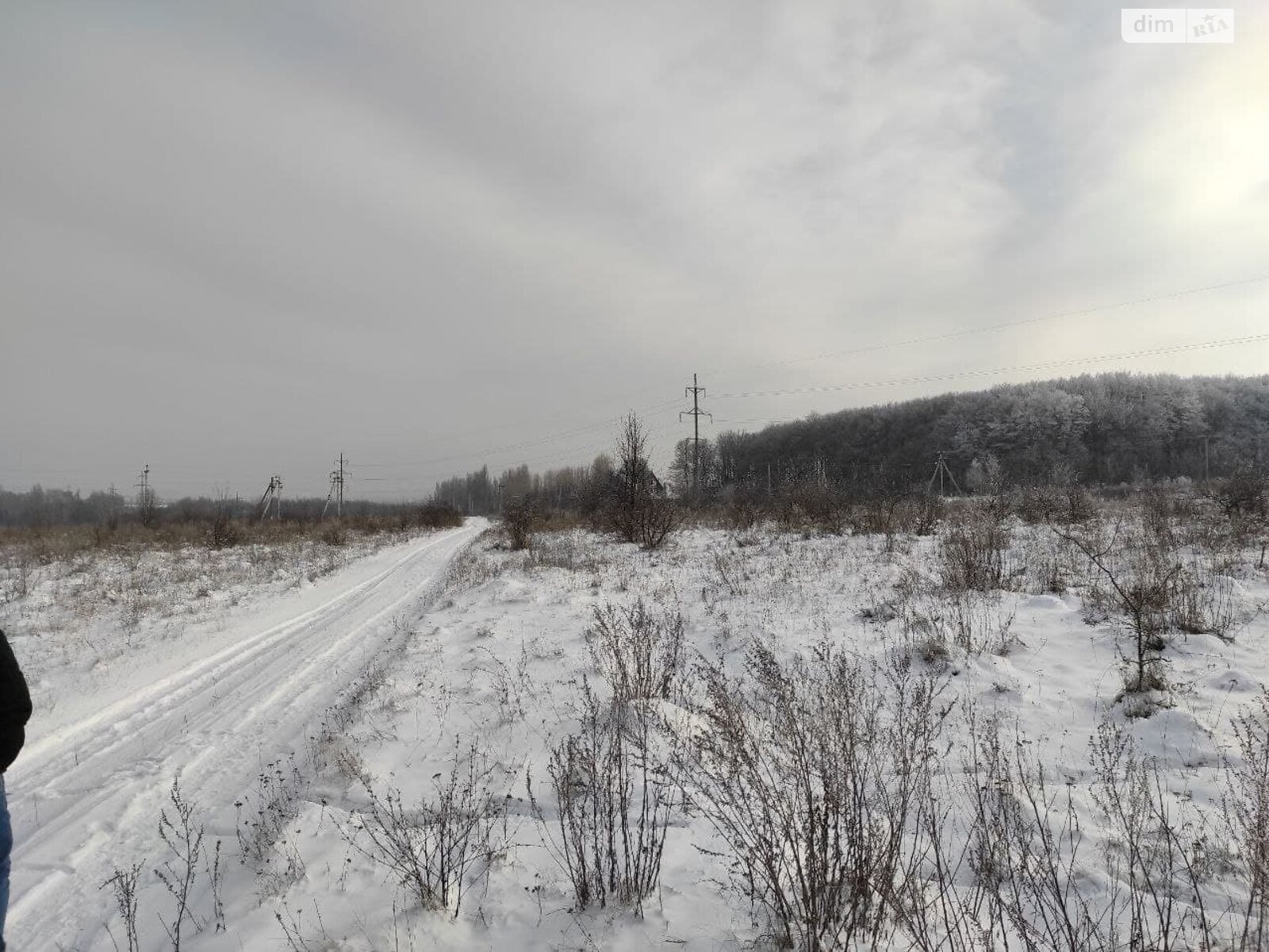 Земельный участок сельскохозяйственного назначения в Лесовых Гриновцах, площадь 10 соток фото 1