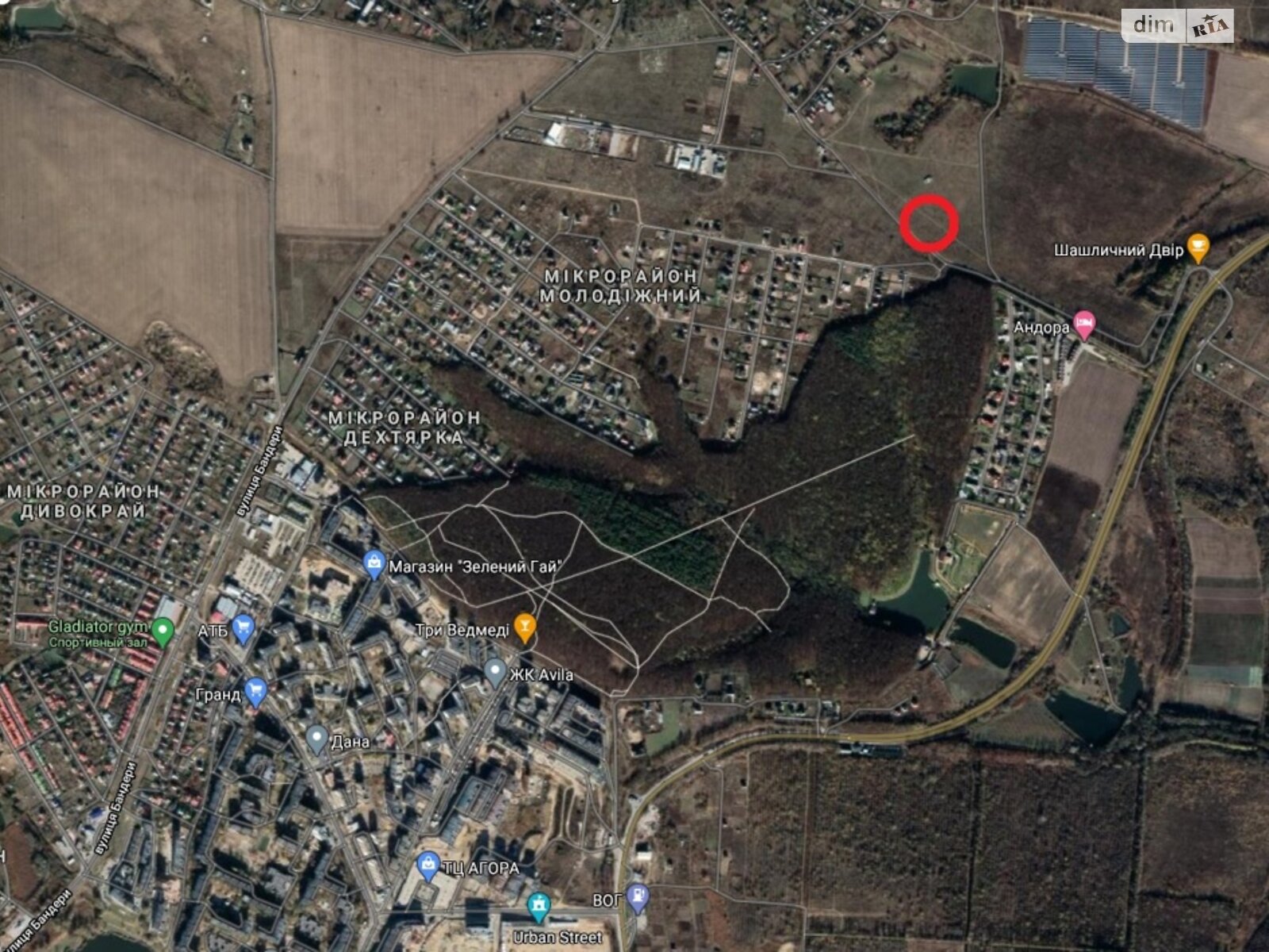 Земельный участок сельскохозяйственного назначения в Лесовых Гриновцах, площадь 10 соток фото 1