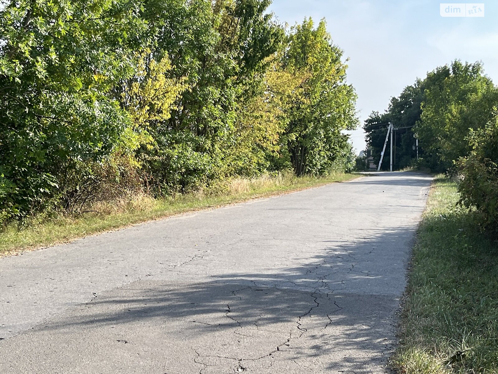 Земельна ділянка сільськогосподарського призначення в Лісових Гринівцях, площа 20 соток фото 1