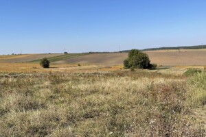 Земельный участок сельскохозяйственного назначения в Лесовых Гриновцах, площадь 0.1196 Га фото 2