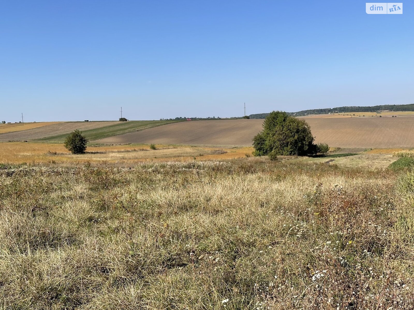 Земельна ділянка сільськогосподарського призначення в Лісових Гринівцях, площа 0.1196 Га фото 1 Земельна ділянка сільськогосподарського призначення в Лісових Гринівцях, площа 0.1196 Га фото 1
