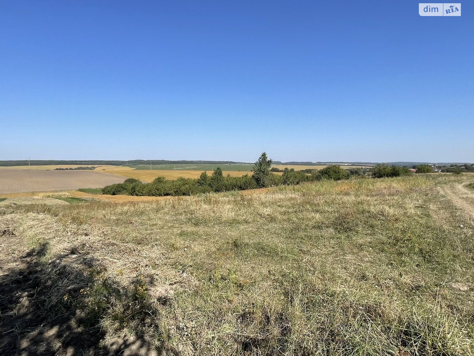Земельна ділянка сільськогосподарського призначення в Лісових Гринівцях, площа 0.1196 Га фото 1 Земельна ділянка сільськогосподарського призначення в Лісових Гринівцях, площа 0.1196 Га фото 1