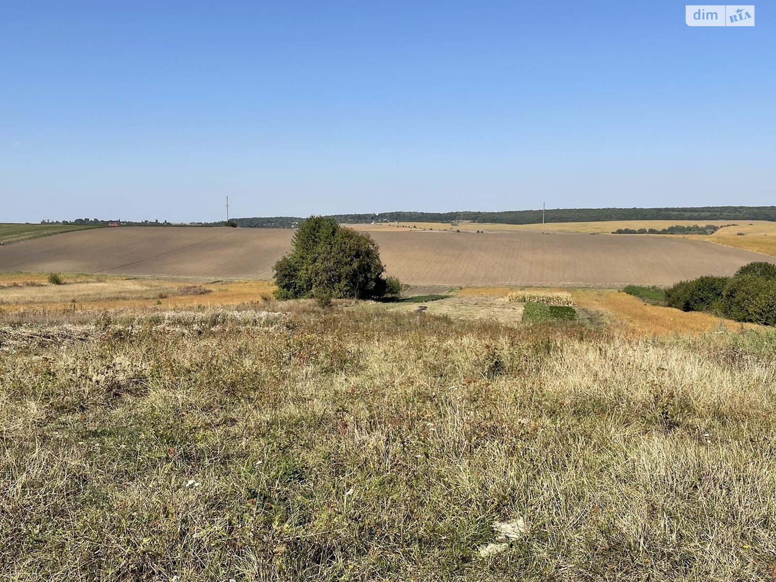 Земельна ділянка сільськогосподарського призначення в Лісових Гринівцях, площа 11.96 сотки фото 1