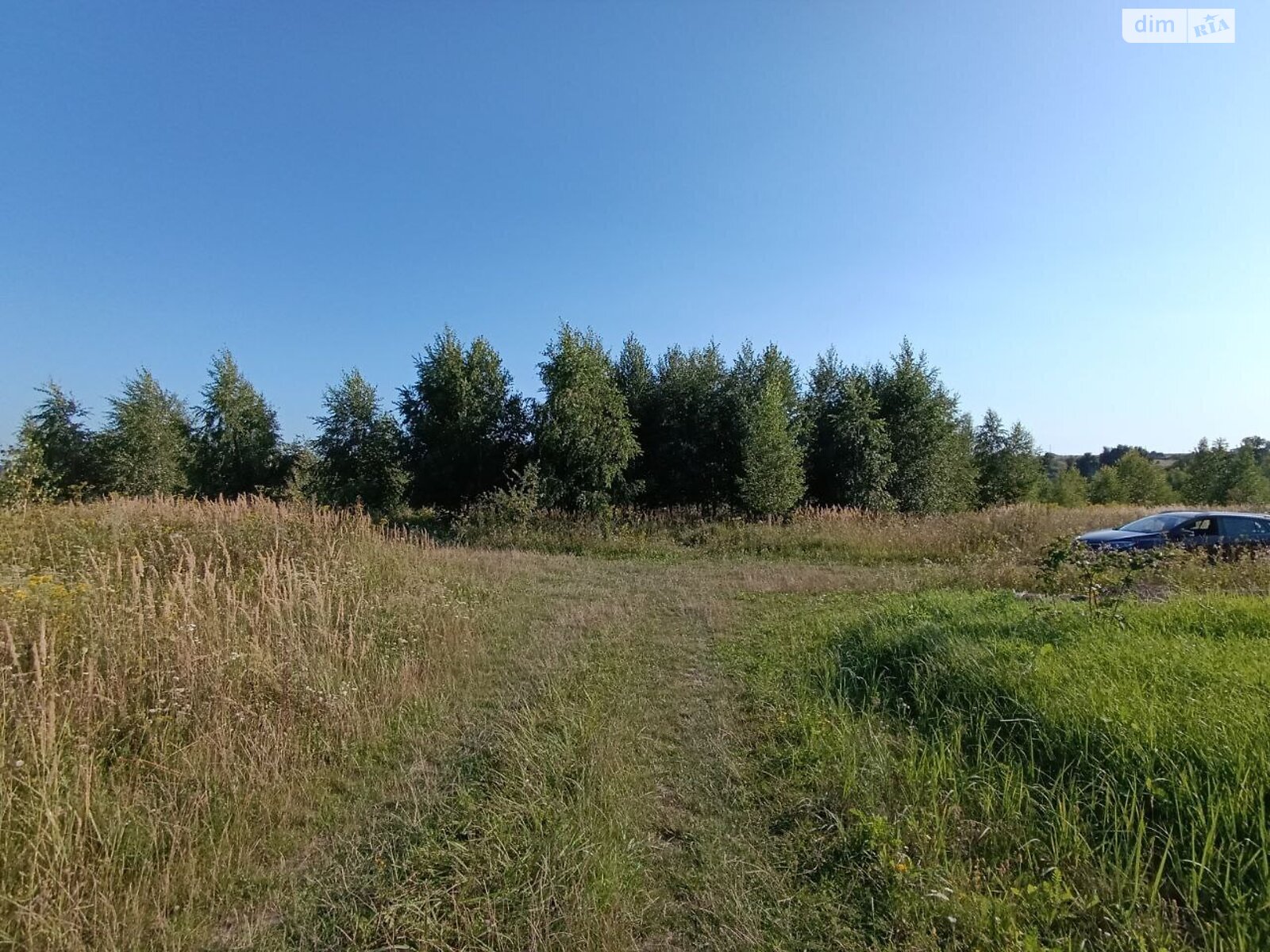 Земельный участок сельскохозяйственного назначения в Лесовых Гриновцах, площадь 10 соток фото 1