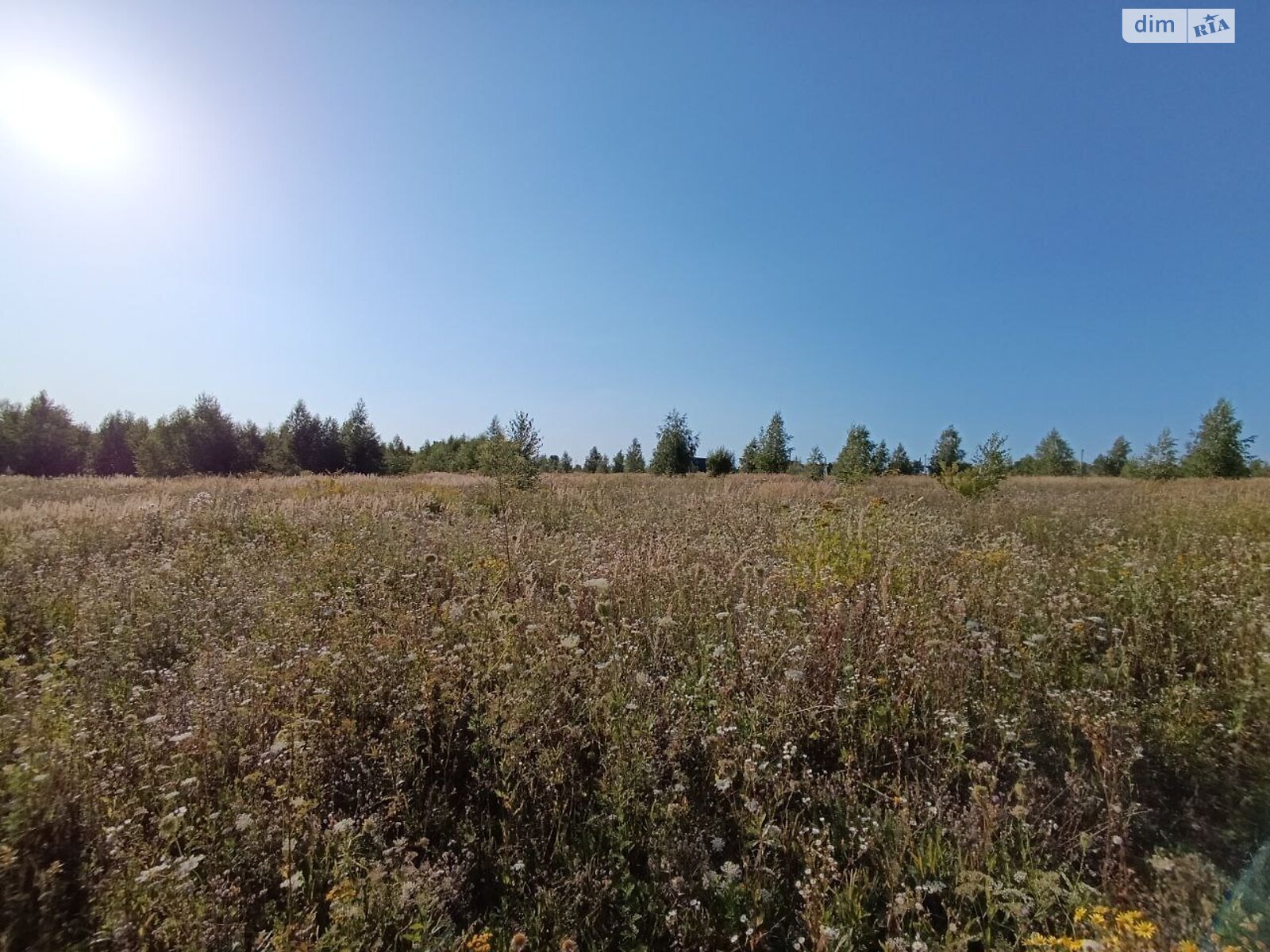 Земельный участок сельскохозяйственного назначения в Лесовых Гриновцах, площадь 10 соток фото 1