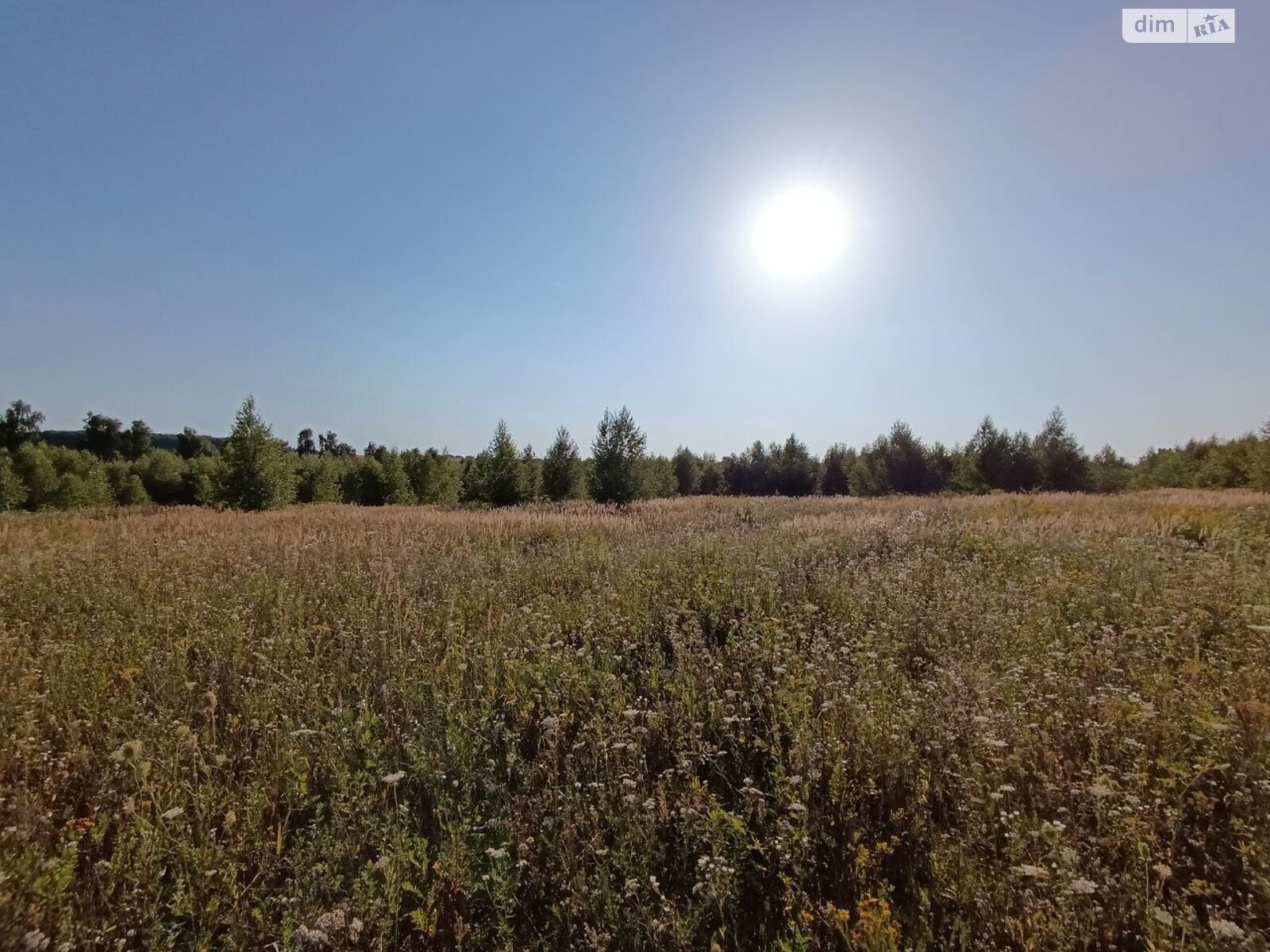 Земельный участок сельскохозяйственного назначения в Лесовых Гриновцах, площадь 10 соток фото 1