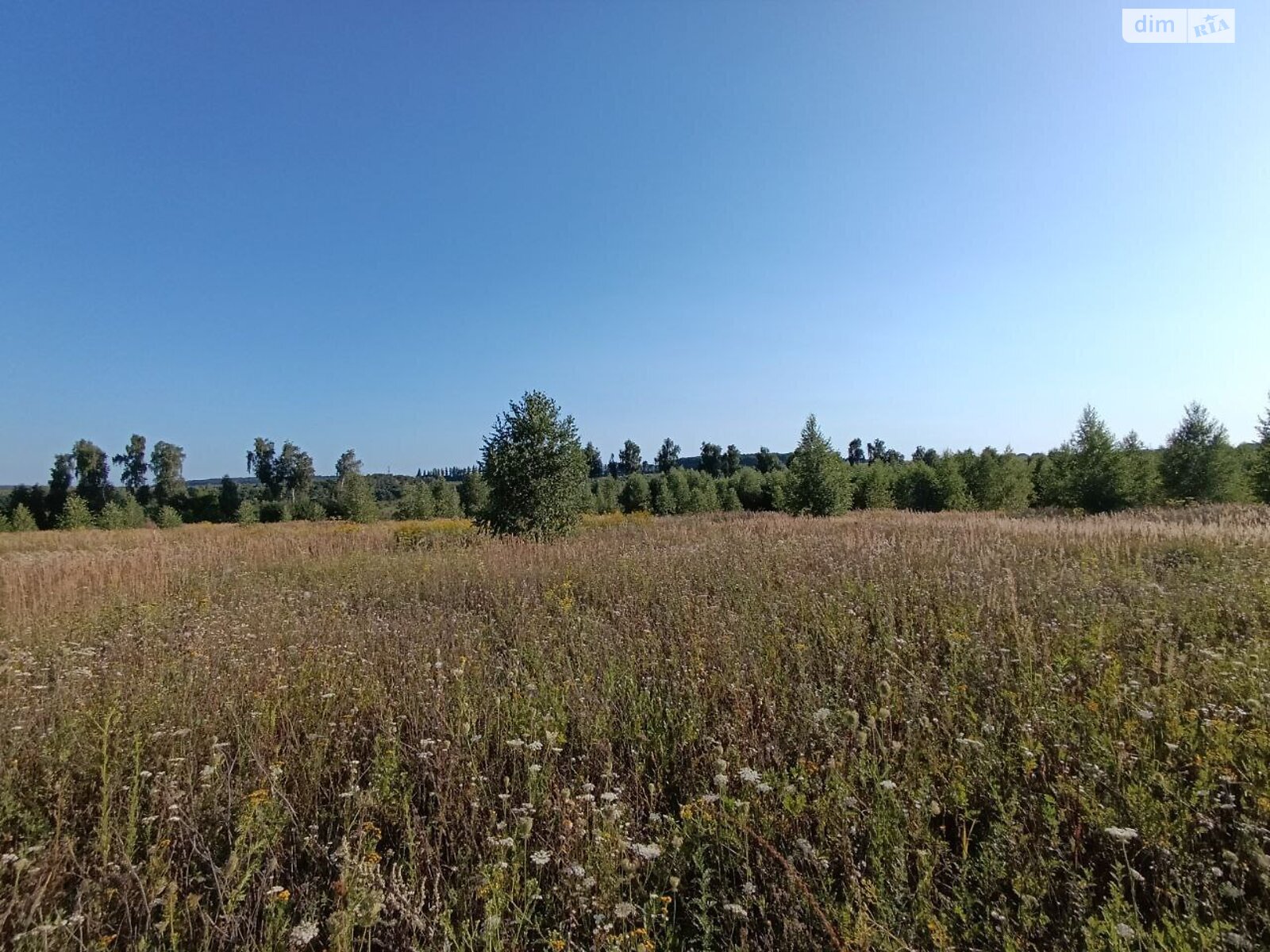 Земельный участок сельскохозяйственного назначения в Лесовых Гриновцах, площадь 10 соток фото 1