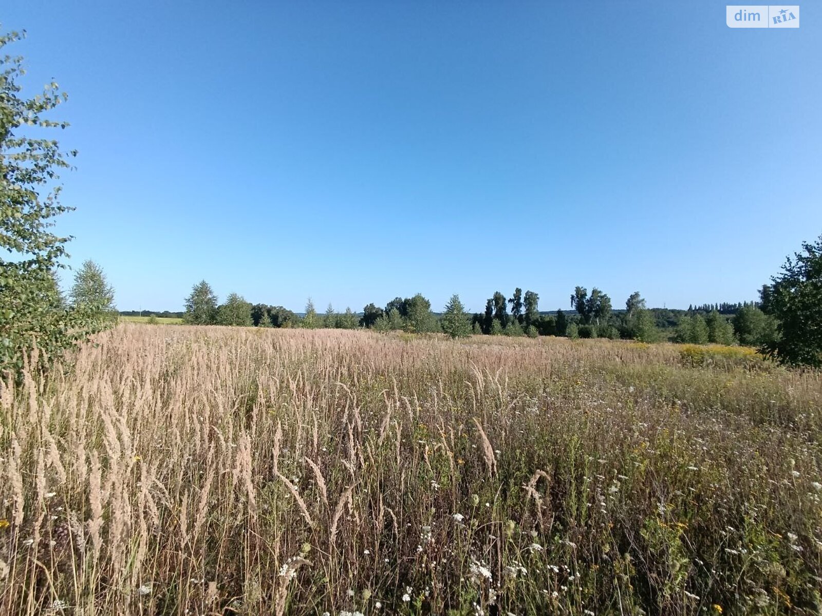Земельный участок сельскохозяйственного назначения в Лесовых Гриновцах, площадь 10 соток фото 1