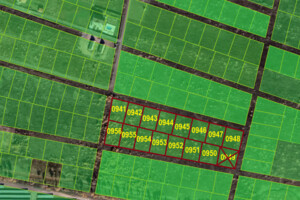 Земельный участок сельскохозяйственного назначения в Лесовых Гриновцах, площадь 10 соток фото 2