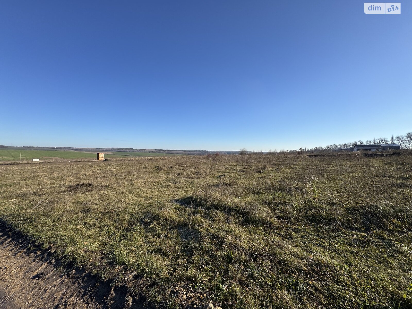 Земельна ділянка сільськогосподарського призначення в Лісових Гринівцях, площа 10 соток фото 1