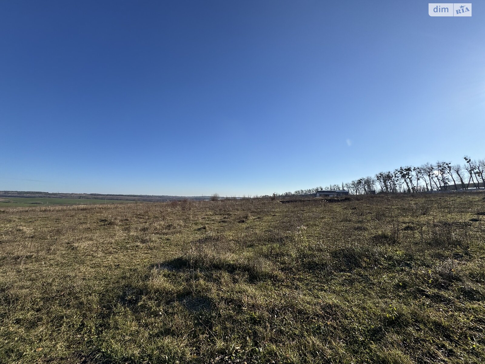 Земельна ділянка сільськогосподарського призначення в Лісових Гринівцях, площа 10 соток фото 1