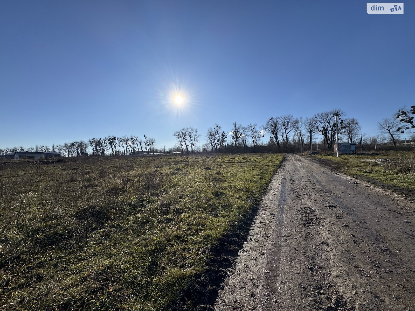 Земельна ділянка сільськогосподарського призначення в Лісових Гринівцях, площа 10 соток фото 1