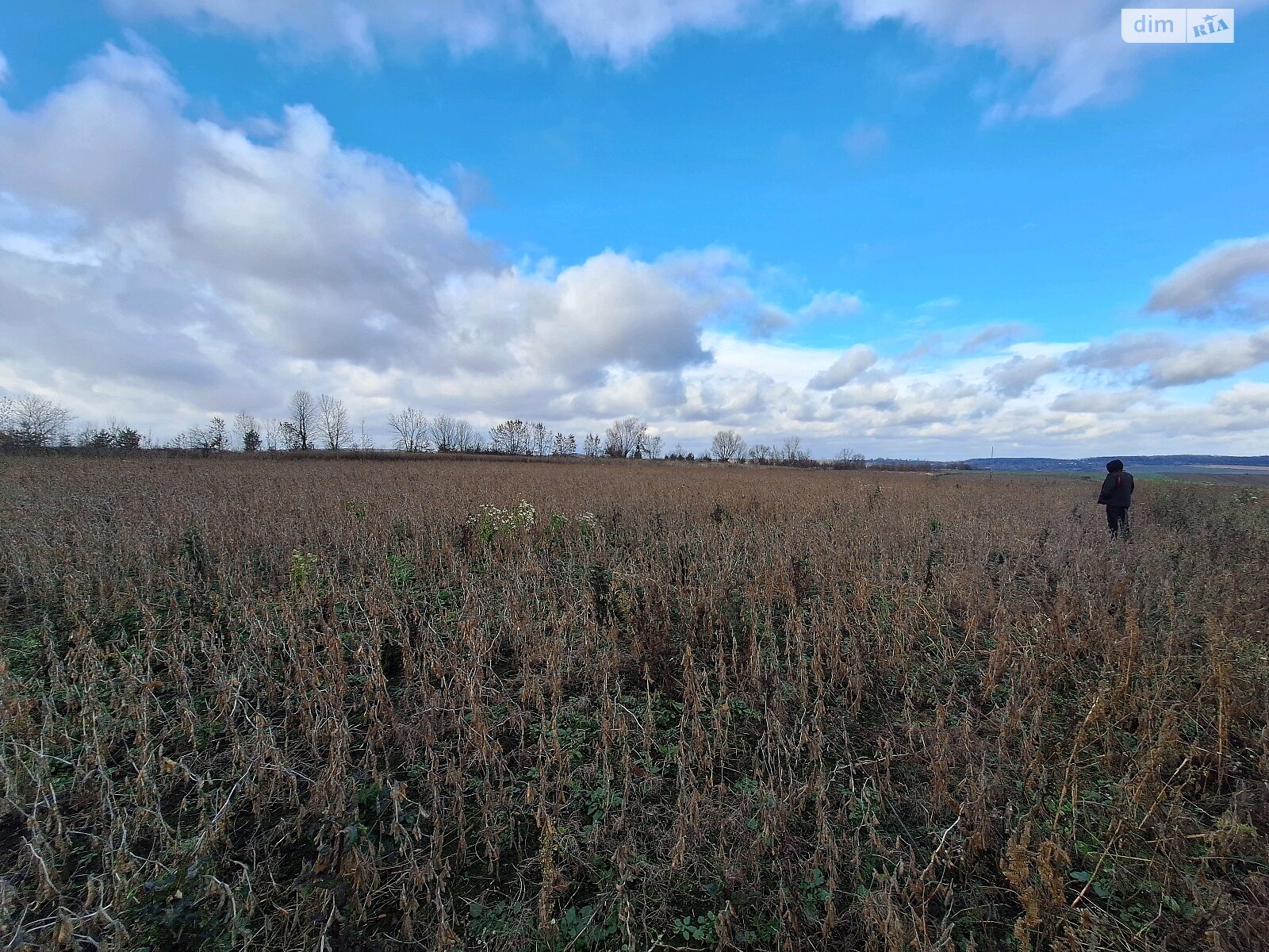 Земельна ділянка сільськогосподарського призначення в Лісових Гринівцях, площа 15 соток фото 1 Земельна ділянка сільськогосподарського призначення в Лісових Гринівцях, площа 15 соток фото 1
