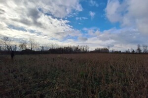 Земельна ділянка сільськогосподарського призначення в Лісових Гринівцях, площа 15 соток фото 2 Земельна ділянка сільськогосподарського призначення в Лісових Гринівцях, площа 15 соток фото 2