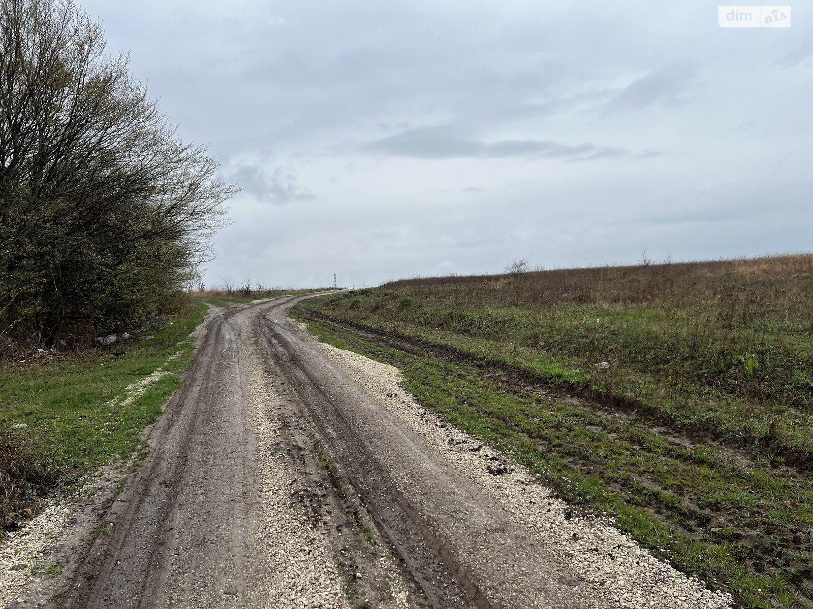 Земля сільськогосподарського призначення в Лісових Гринівцях, площа 10 соток фото 1 Земля сільськогосподарського призначення в Лісових Гринівцях, площа 10 соток фото 1