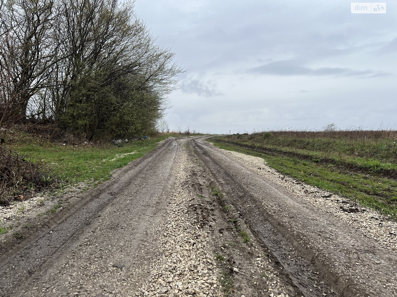 Земля сільськогосподарського призначення в Лісових Гринівцях, площа 10 соток фото 1 Земля сільськогосподарського призначення в Лісових Гринівцях, площа 10 соток фото 1
