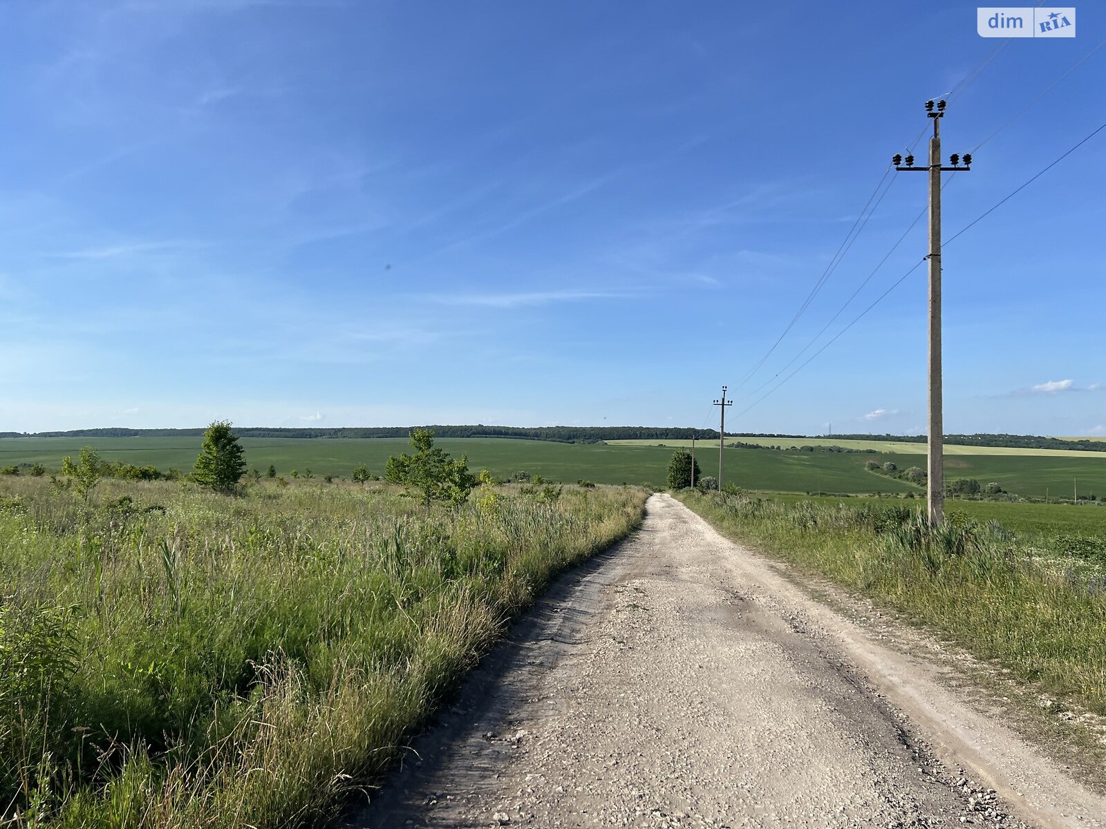 Земельна ділянка сільськогосподарського призначення в Лісових Гринівцях, площа 10 соток фото 1 Земельна ділянка сільськогосподарського призначення в Лісових Гринівцях, площа 10 соток фото 1