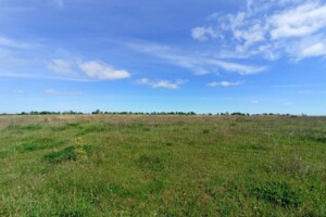 Земельна ділянка сільськогосподарського призначення в Лісових Гринівцях, площа 20 соток фото 2