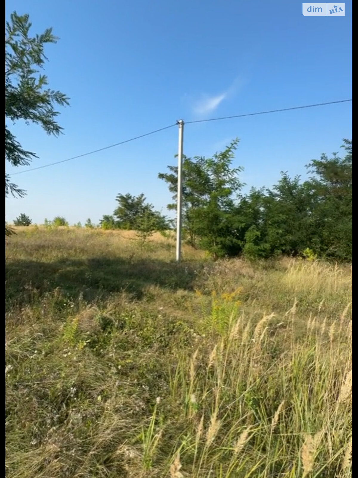 Земельный участок сельскохозяйственного назначения в Лесовых Гриновцах, площадь 10 соток фото 1 Земельный участок сельскохозяйственного назначения в Лесовых Гриновцах, площадь 10 соток фото 1