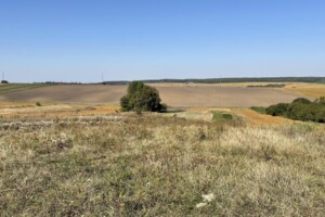 Земельный участок сельскохозяйственного назначения в Лесовых Гриновцах, площадь 11.96 сотки фото 2