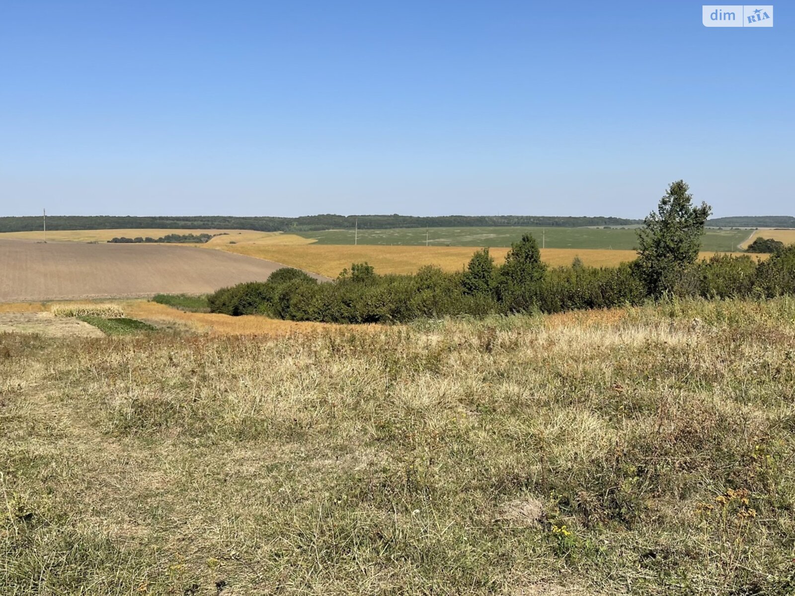 Земельна ділянка сільськогосподарського призначення в Лісових Гринівцях, площа 11.96 сотки фото 1