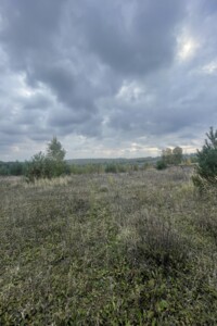 Земельна ділянка сільськогосподарського призначення в Лісових Гринівцях, площа 77.1 сотки фото 2