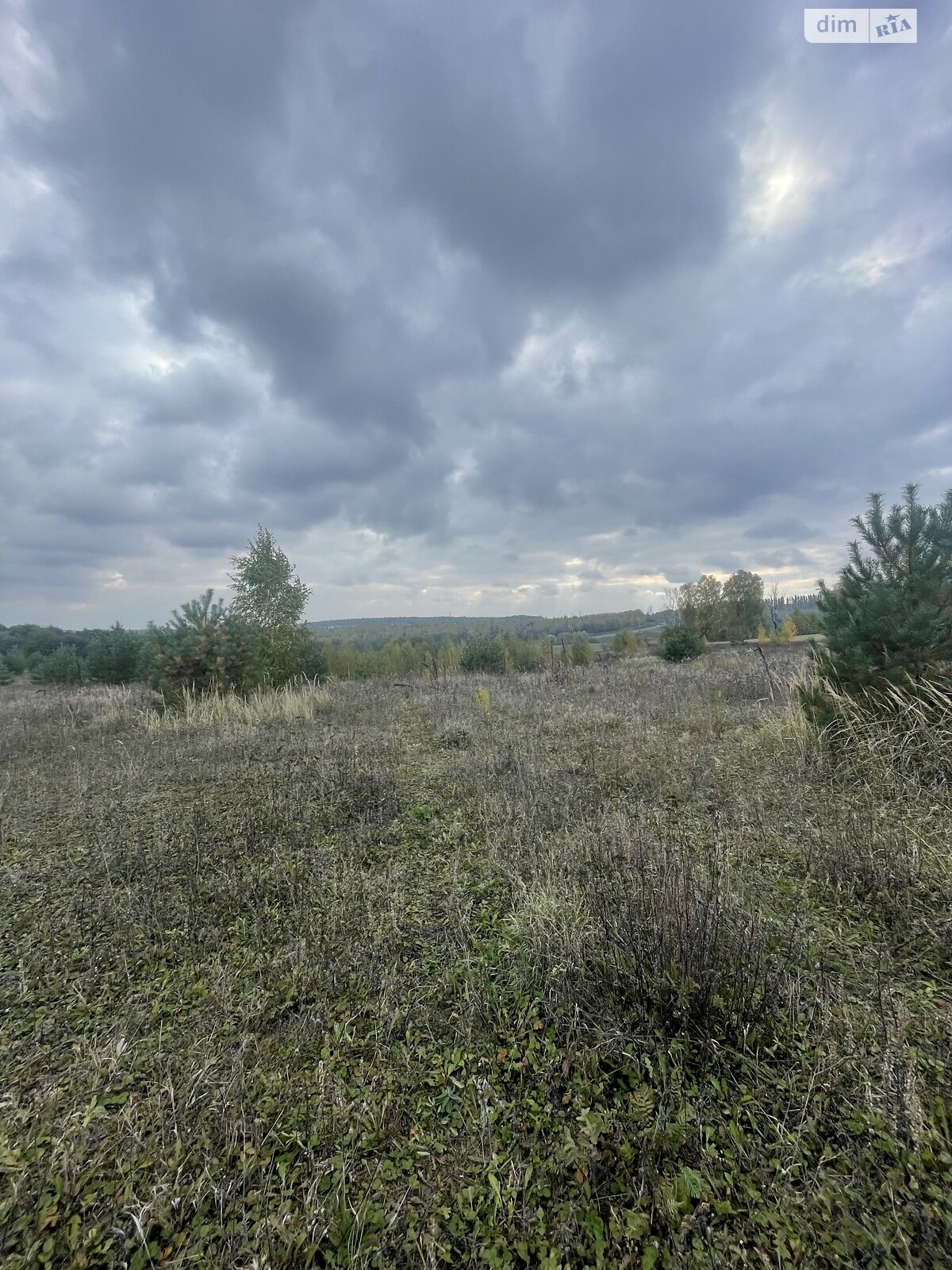 Земельна ділянка сільськогосподарського призначення в Лісових Гринівцях, площа 77.1 сотки фото 1