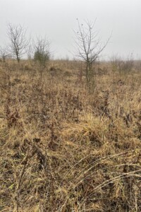 Земельна ділянка сільськогосподарського призначення в Лісових Гринівцях, площа 10 соток фото 2
