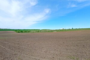 Земельна ділянка сільськогосподарського призначення в Лісових Гринівцях, площа 10 соток фото 2