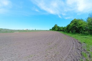 Земельна ділянка сільськогосподарського призначення в Лісових Гринівцях, площа 10 соток фото 2