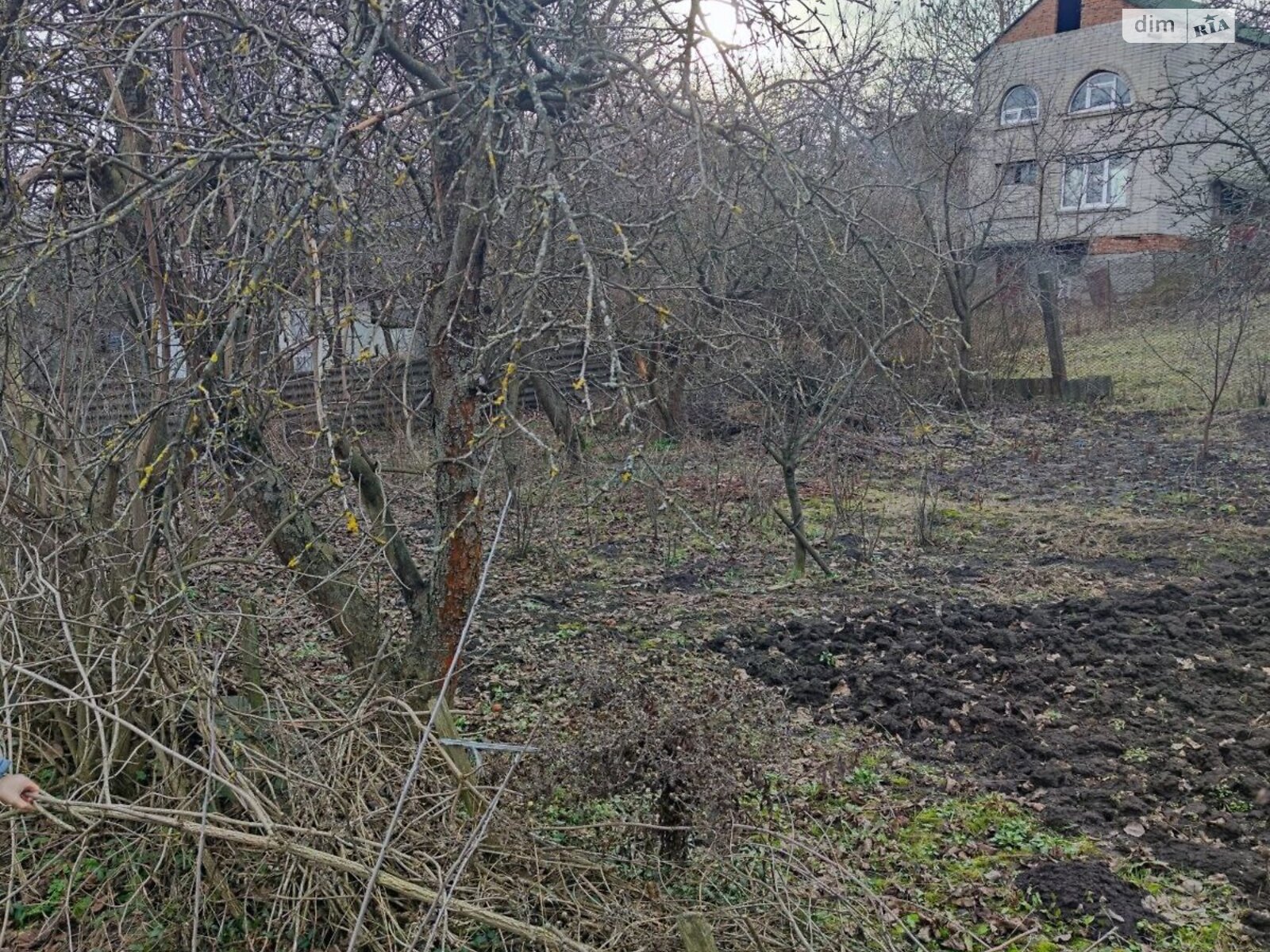 Земельна ділянка сільськогосподарського призначення в Лісових Гринівцях, площа 5 соток фото 1 Земельна ділянка сільськогосподарського призначення в Лісових Гринівцях, площа 5 соток фото 1