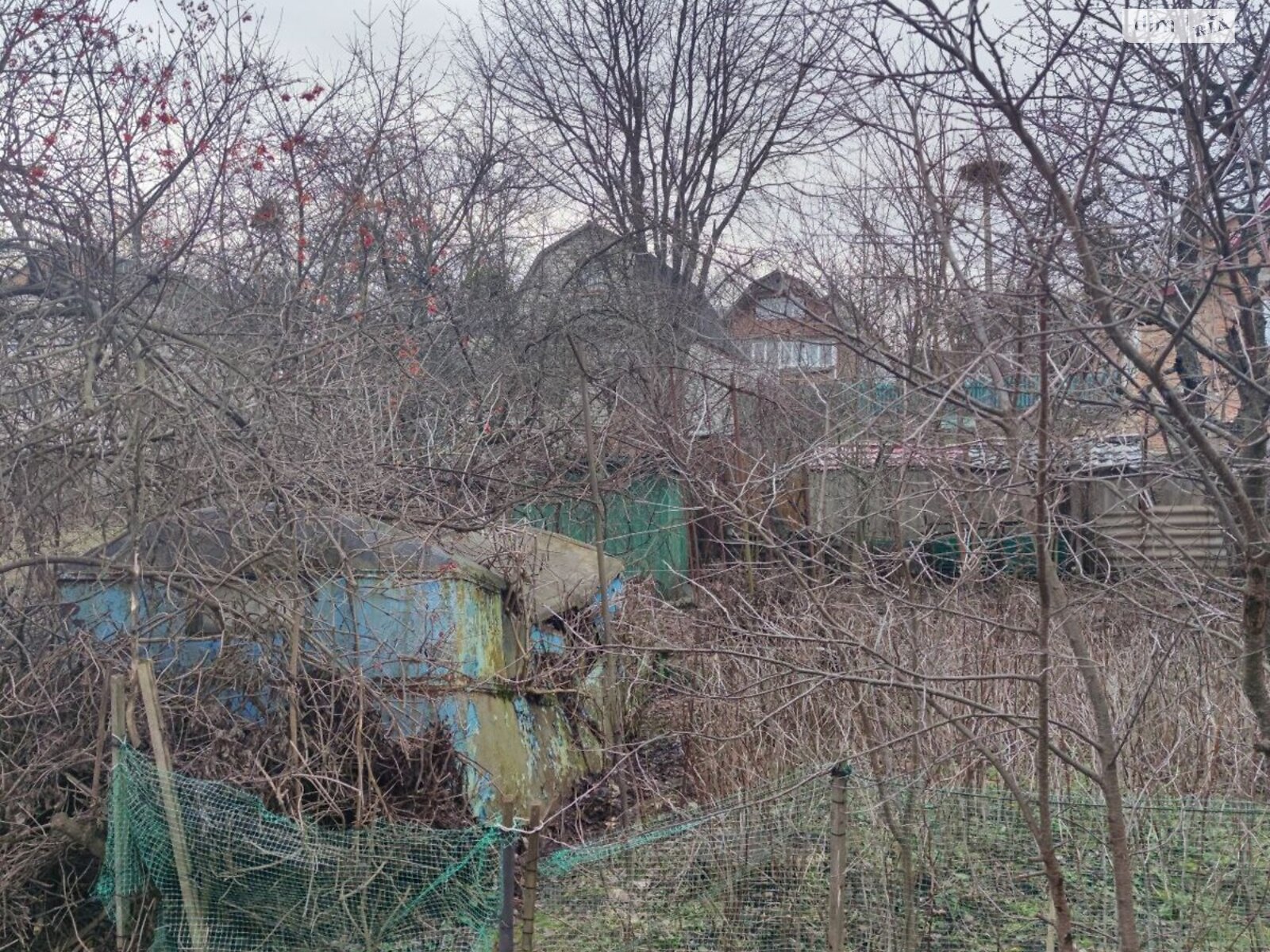 Земельна ділянка сільськогосподарського призначення в Лісових Гринівцях, площа 5 соток фото 1 Земельна ділянка сільськогосподарського призначення в Лісових Гринівцях, площа 5 соток фото 1