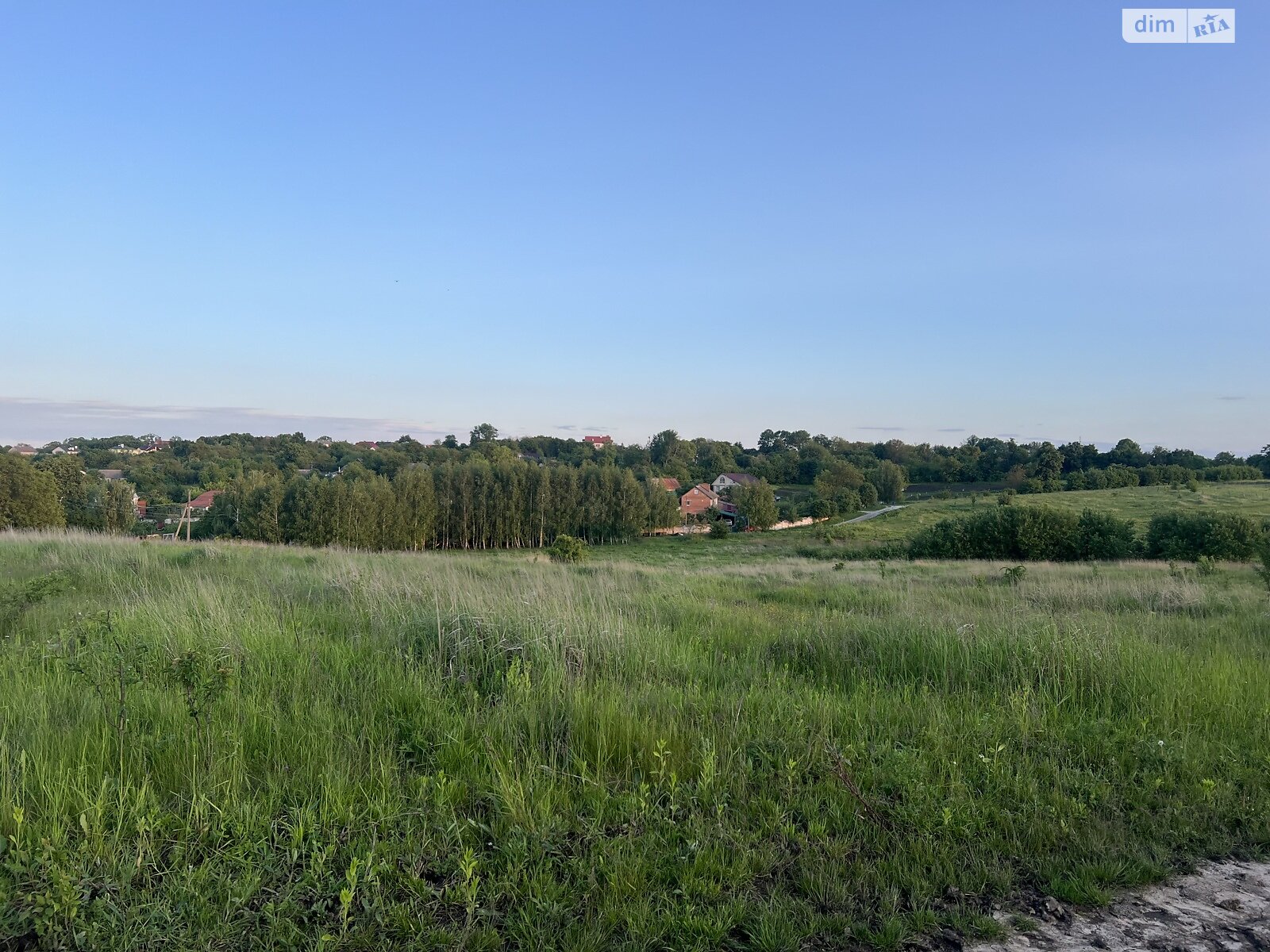 Земельна ділянка сільськогосподарського призначення в Лісових Гринівцях, площа 10 соток фото 1 Земельна ділянка сільськогосподарського призначення в Лісових Гринівцях, площа 10 соток фото 1