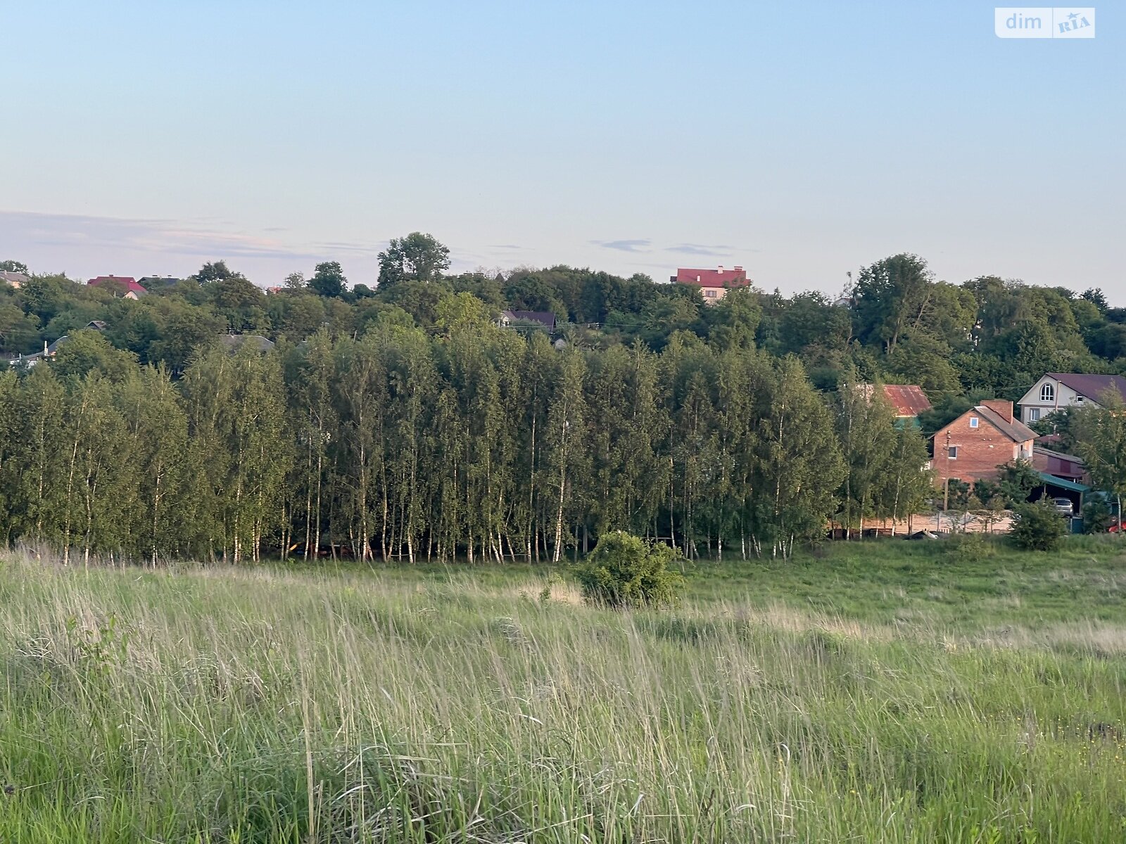 Земельна ділянка сільськогосподарського призначення в Лісових Гринівцях, площа 10 соток фото 1 Земельна ділянка сільськогосподарського призначення в Лісових Гринівцях, площа 10 соток фото 1