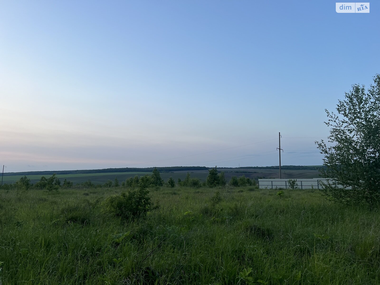 Земельный участок сельскохозяйственного назначения в Лесовых Гриновцах, площадь 10 соток фото 1 Земельный участок сельскохозяйственного назначения в Лесовых Гриновцах, площадь 10 соток фото 1