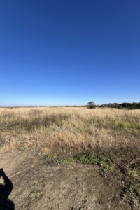 Земельна ділянка сільськогосподарського призначення в Лісових Гринівцях, площа 10 соток фото 2