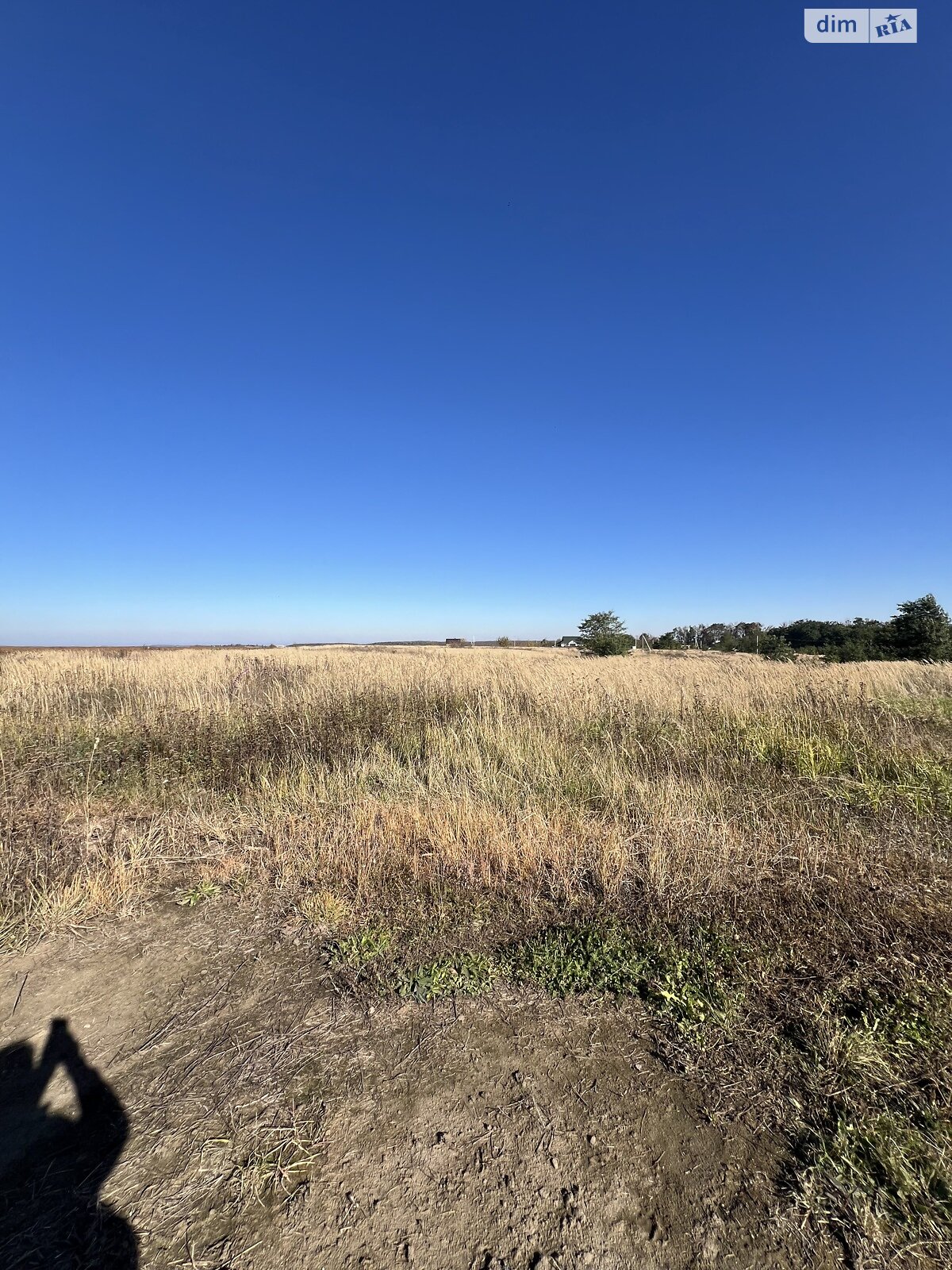 Земельна ділянка сільськогосподарського призначення в Лісових Гринівцях, площа 10 соток фото 1 Земельна ділянка сільськогосподарського призначення в Лісових Гринівцях, площа 10 соток фото 1