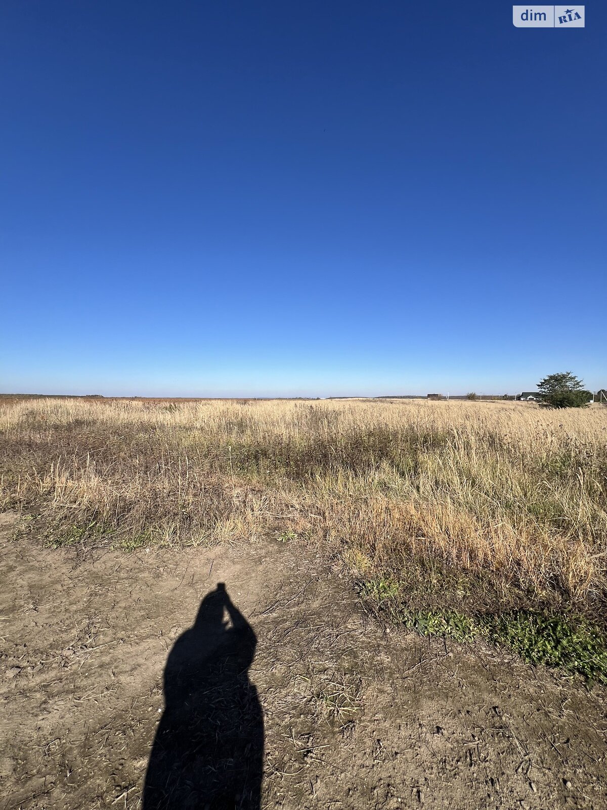 Земельна ділянка сільськогосподарського призначення в Лісових Гринівцях, площа 10 соток фото 1 Земельна ділянка сільськогосподарського призначення в Лісових Гринівцях, площа 10 соток фото 1