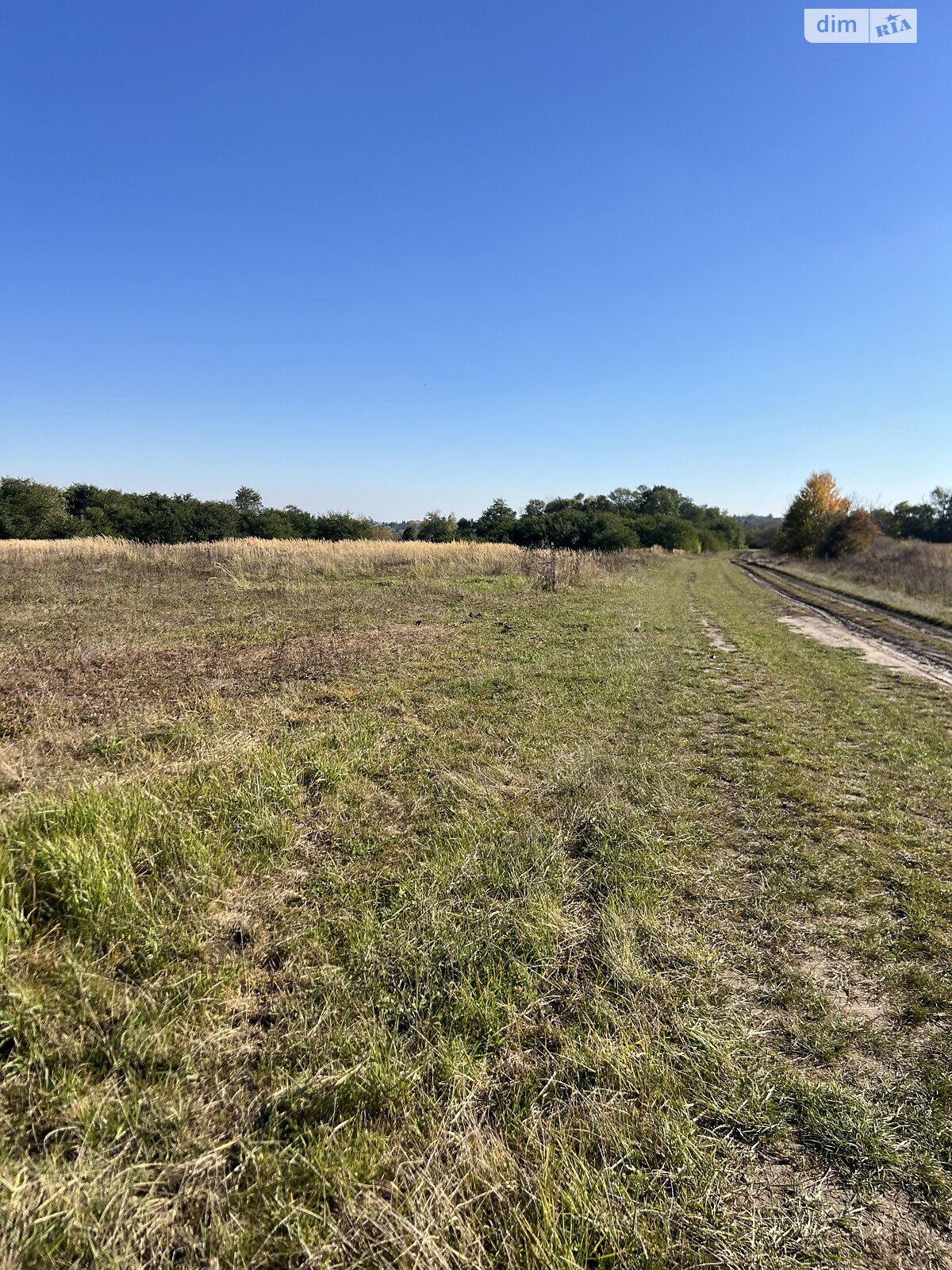 Земельна ділянка сільськогосподарського призначення в Лісових Гринівцях, площа 10 соток фото 1 Земельна ділянка сільськогосподарського призначення в Лісових Гринівцях, площа 10 соток фото 1