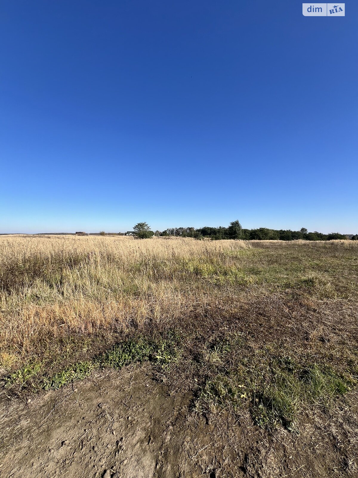 Земельна ділянка сільськогосподарського призначення в Лісових Гринівцях, площа 10 соток фото 1 Земельна ділянка сільськогосподарського призначення в Лісових Гринівцях, площа 10 соток фото 1