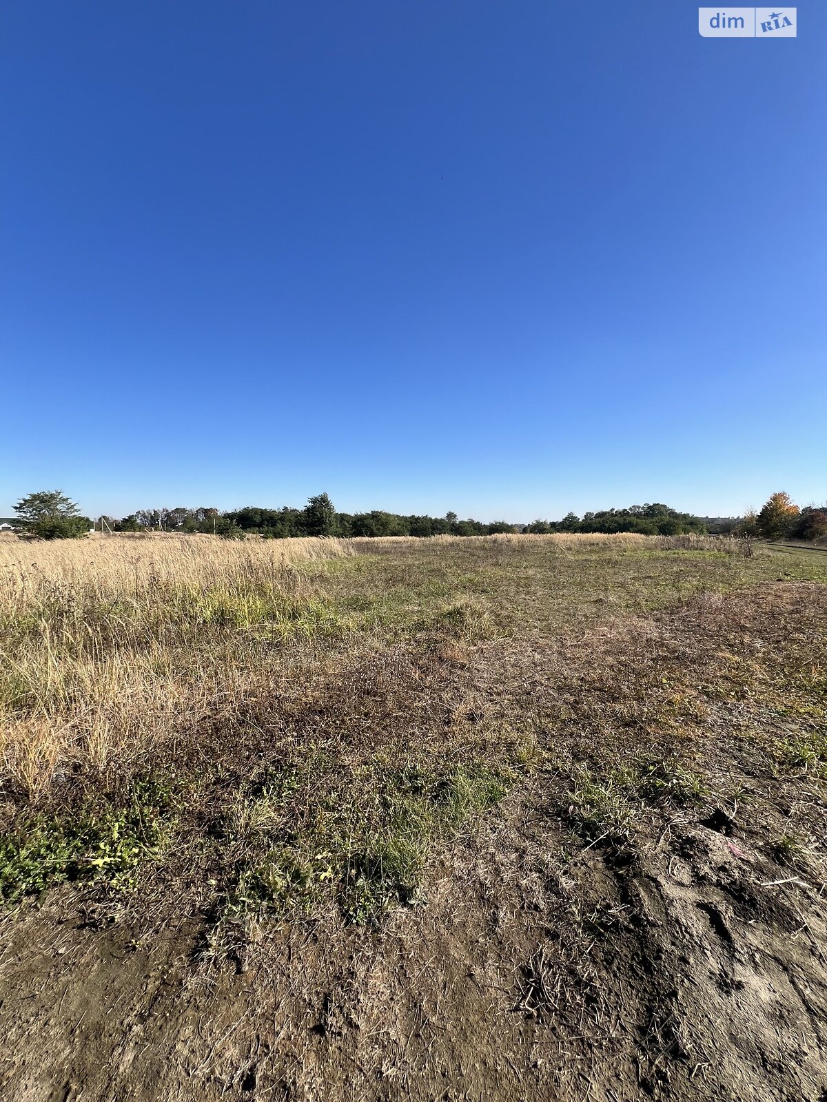 Земельна ділянка сільськогосподарського призначення в Лісових Гринівцях, площа 10 соток фото 1 Земельна ділянка сільськогосподарського призначення в Лісових Гринівцях, площа 10 соток фото 1