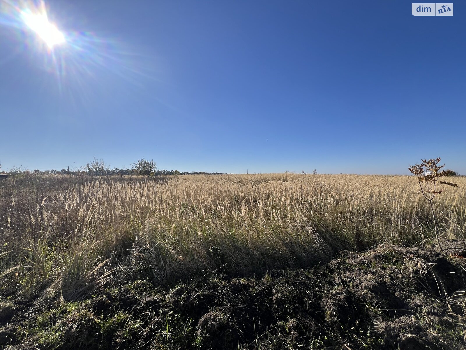Земельна ділянка сільськогосподарського призначення в Лісових Гринівцях, площа 10 соток фото 1 Земельна ділянка сільськогосподарського призначення в Лісових Гринівцях, площа 10 соток фото 1
