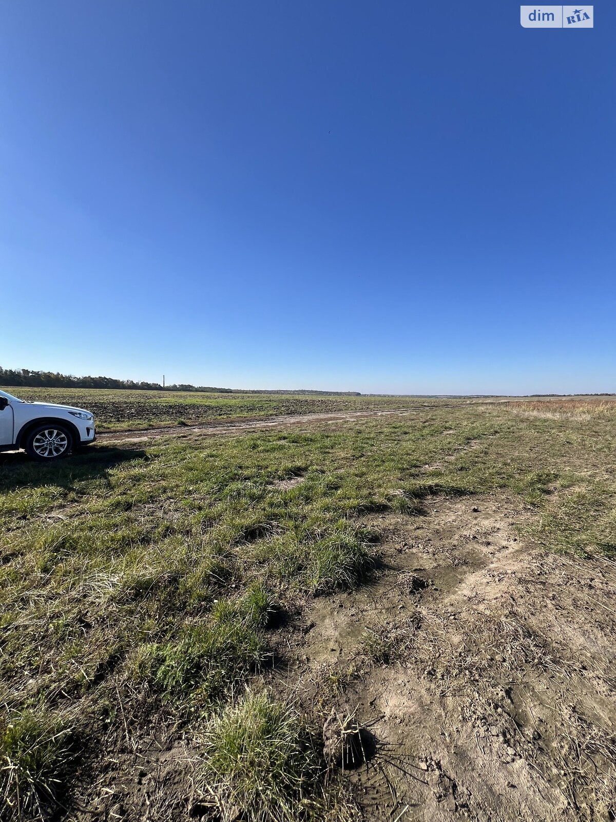 Земельна ділянка сільськогосподарського призначення в Лісових Гринівцях, площа 10 соток фото 1 Земельна ділянка сільськогосподарського призначення в Лісових Гринівцях, площа 10 соток фото 1