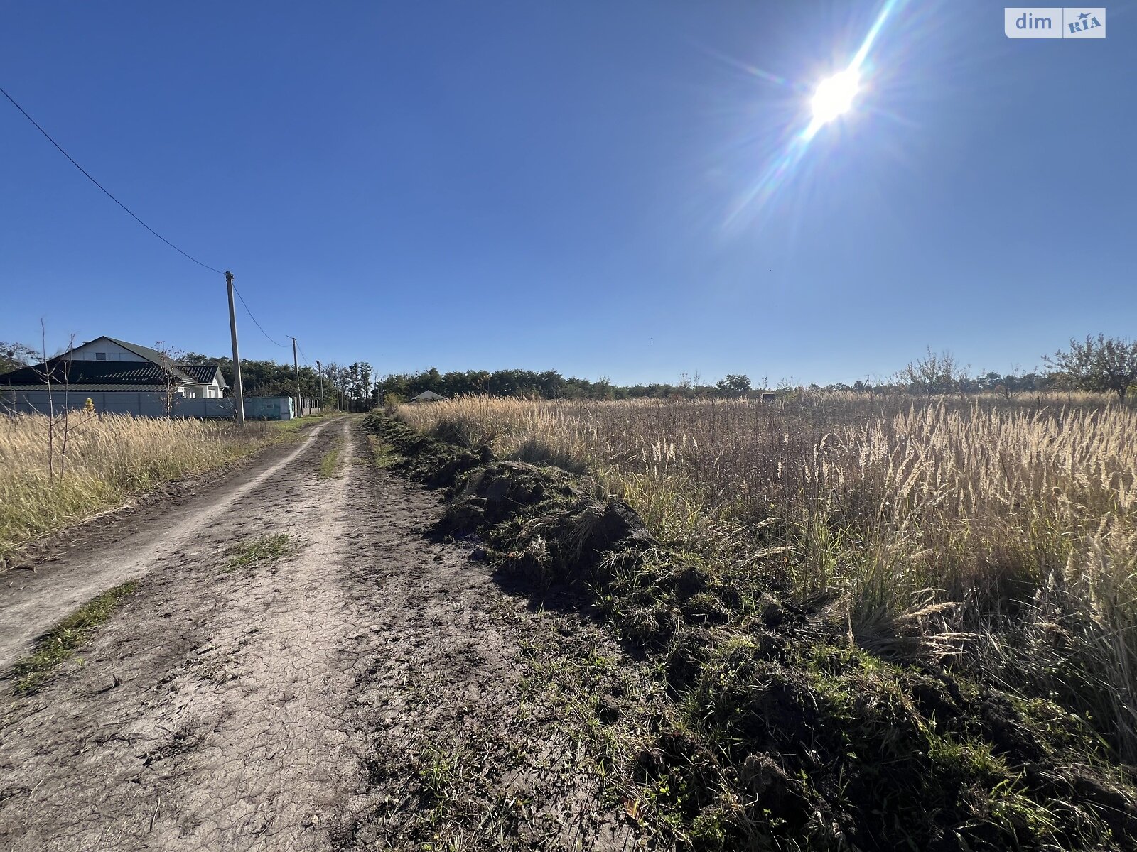 Земельна ділянка сільськогосподарського призначення в Лісових Гринівцях, площа 10 соток фото 1 Земельна ділянка сільськогосподарського призначення в Лісових Гринівцях, площа 10 соток фото 1