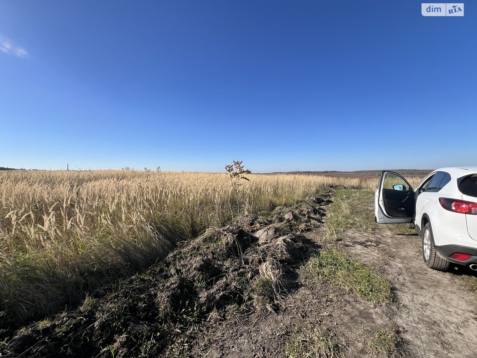 Земельна ділянка сільськогосподарського призначення в Лісових Гринівцях, площа 10 соток фото 1 Земельна ділянка сільськогосподарського призначення в Лісових Гринівцях, площа 10 соток фото 1