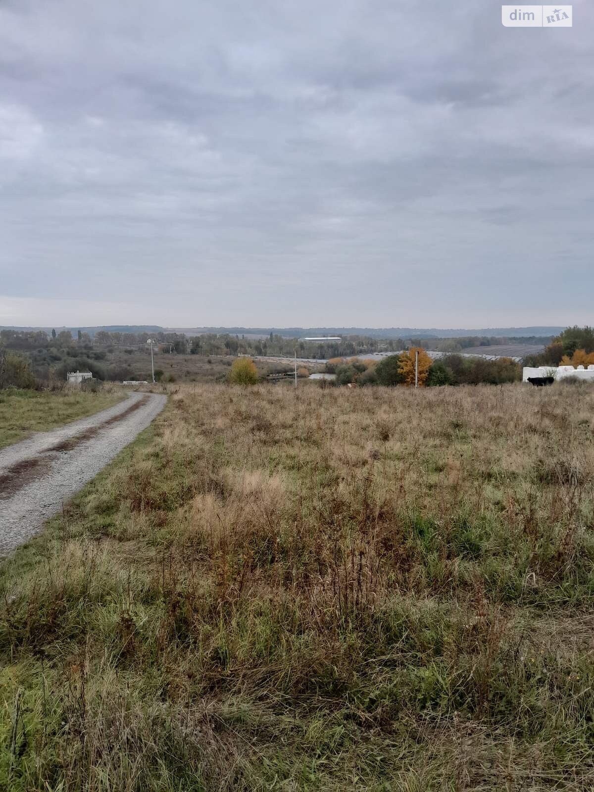 Земельный участок сельскохозяйственного назначения в Лесовых Гриновцах, площадь 11.79 сотки фото 1