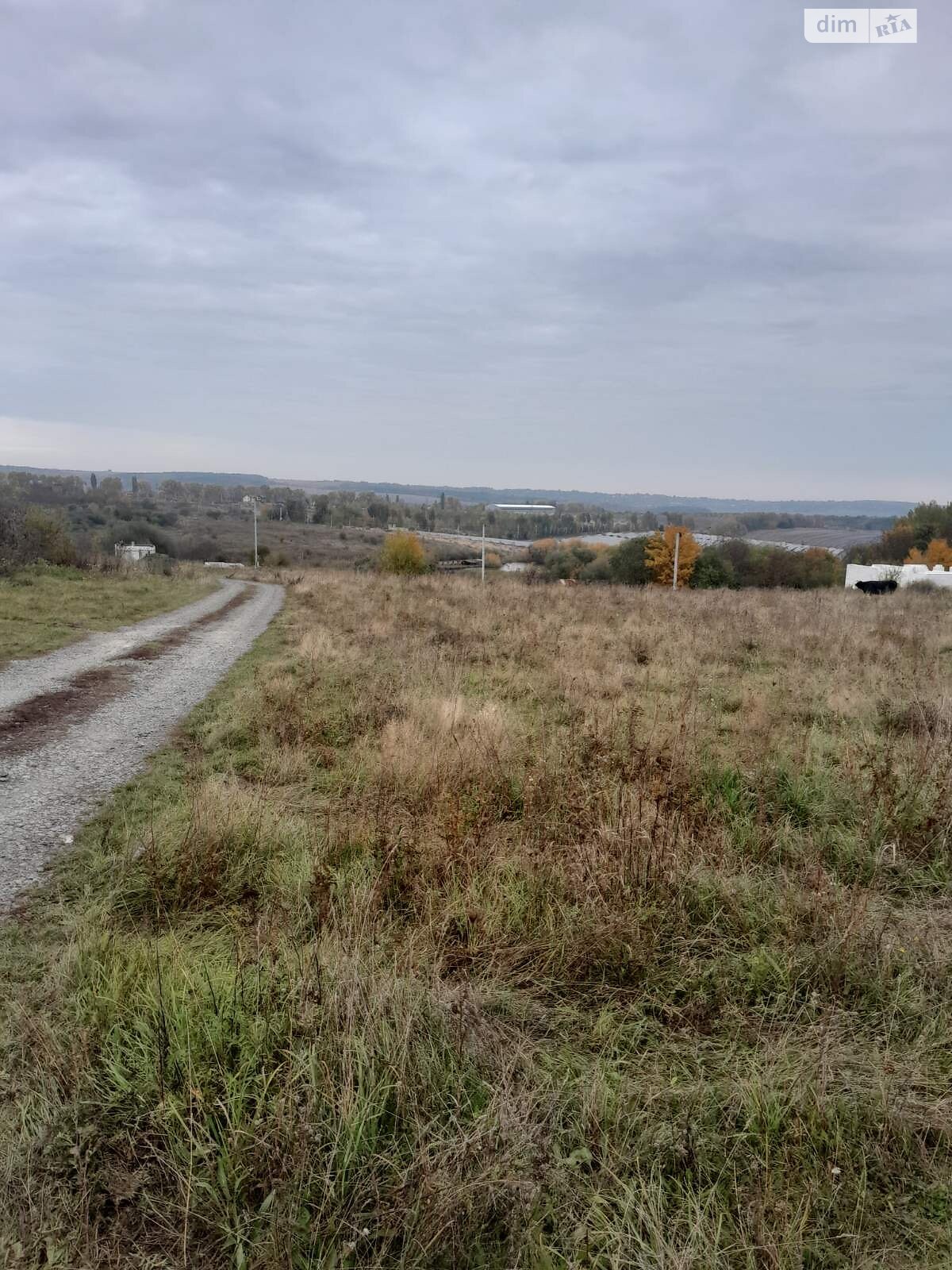 Земельный участок сельскохозяйственного назначения в Лесовых Гриновцах, площадь 11.79 сотки фото 1