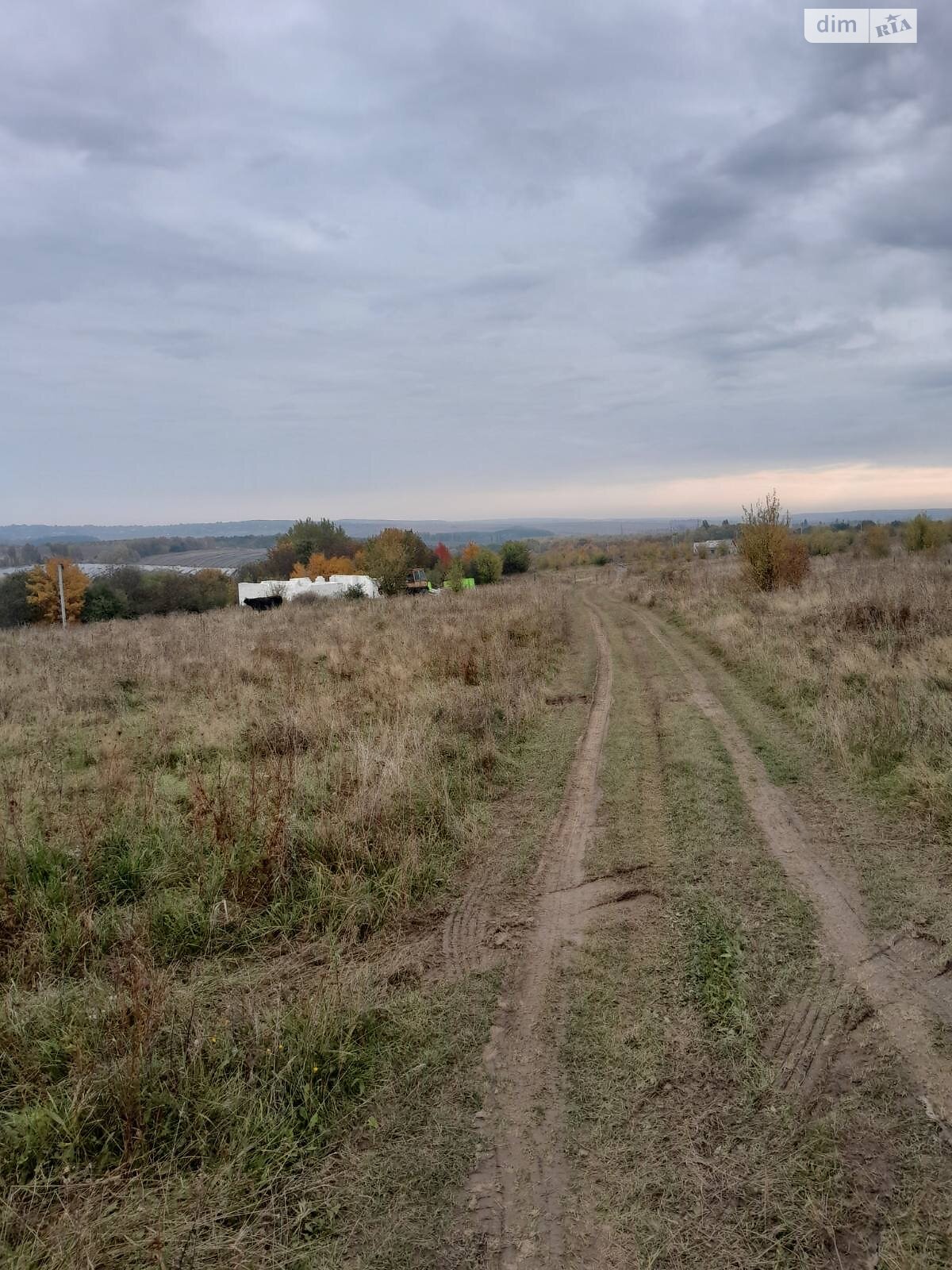 Земельный участок сельскохозяйственного назначения в Лесовых Гриновцах, площадь 11.79 сотки фото 1