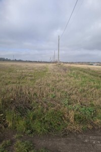 Земельна ділянка сільськогосподарського призначення в Лісових Гринівцях, площа 24.32 сотки фото 2